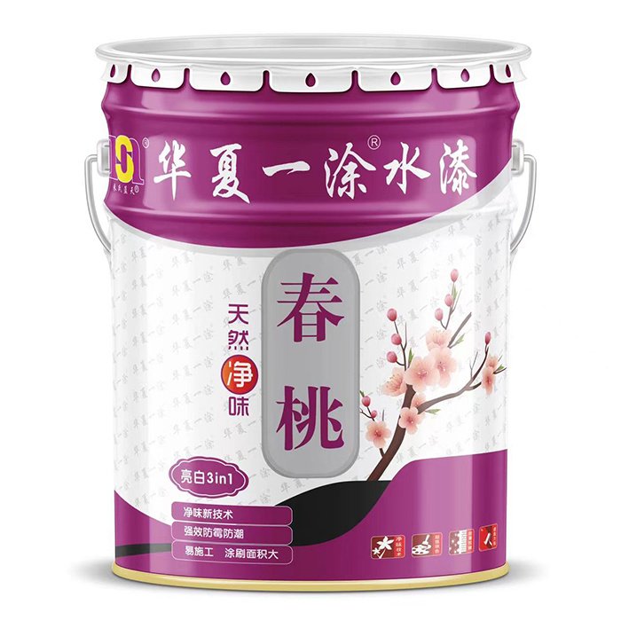 网站首页