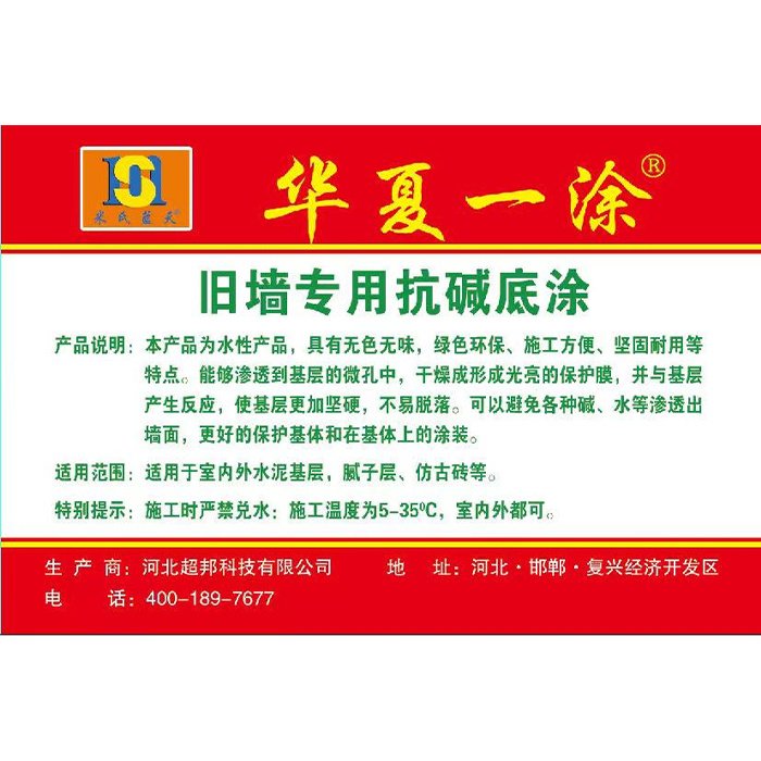 网站首页